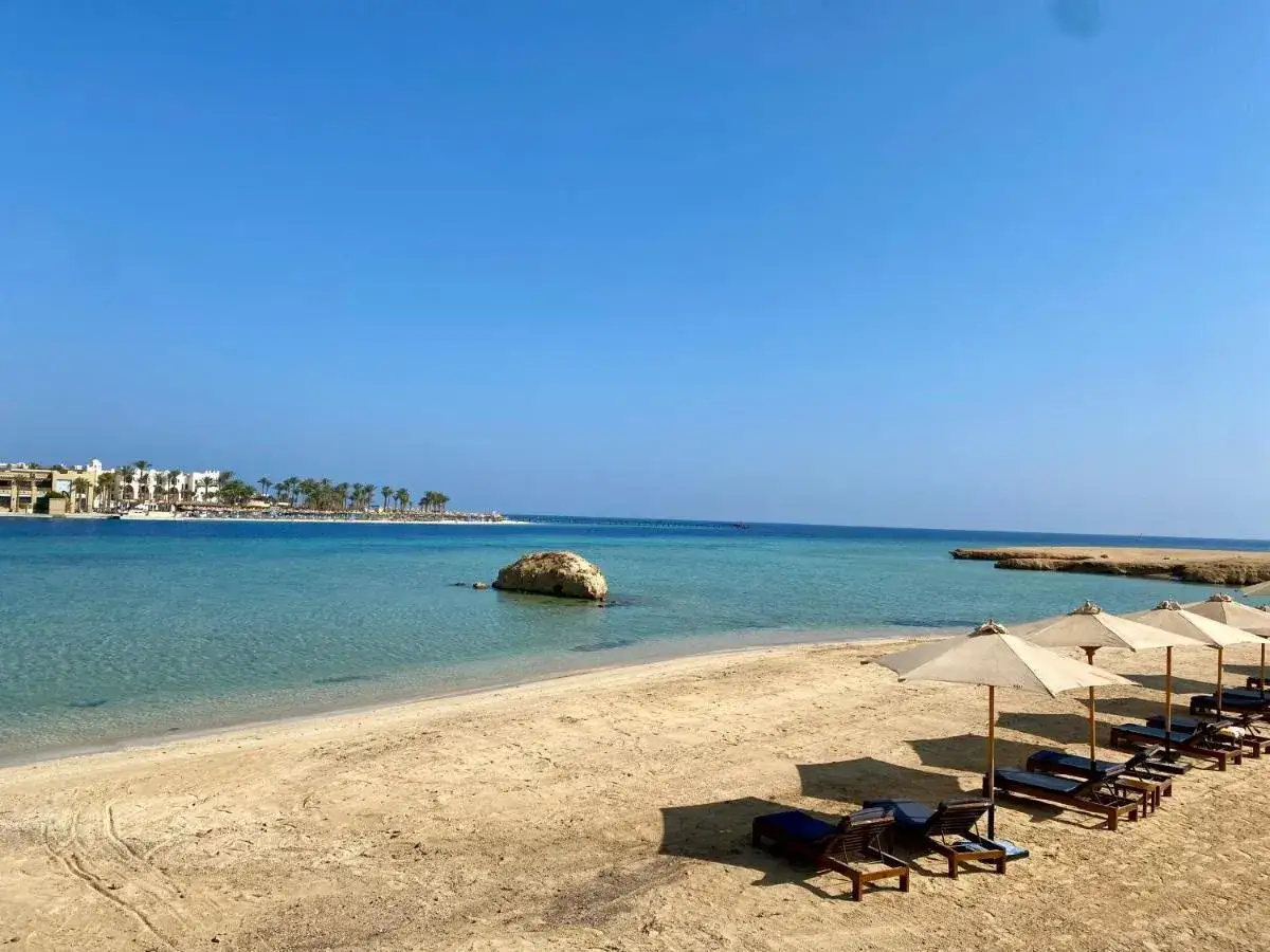 Piękna plaża z leżakami i parasolami, w tle budynki i palmy. Radisson Individuals Marina Port Ghalib opinie potwierdzają ten widok.