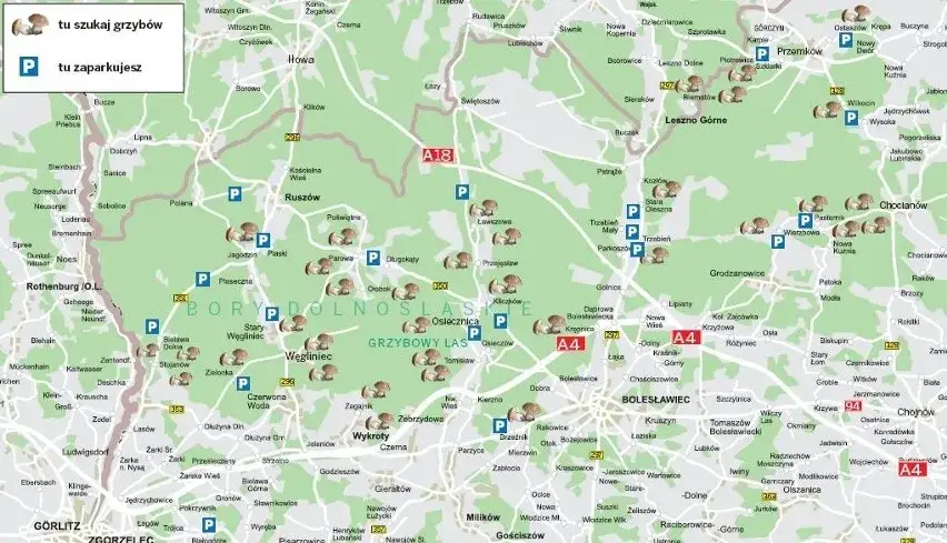 Mapa Puszcza Goleniowska grzyby