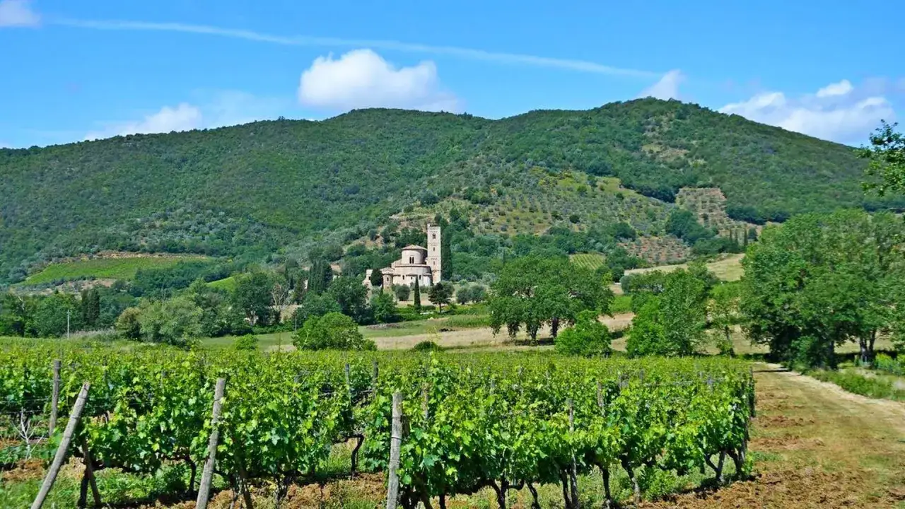 Winnica w Toskanii, gdzie dojrzewają winogrona na słynne brunello di montalcino. W tle klasztor i zielone wzg&oacute;rza.