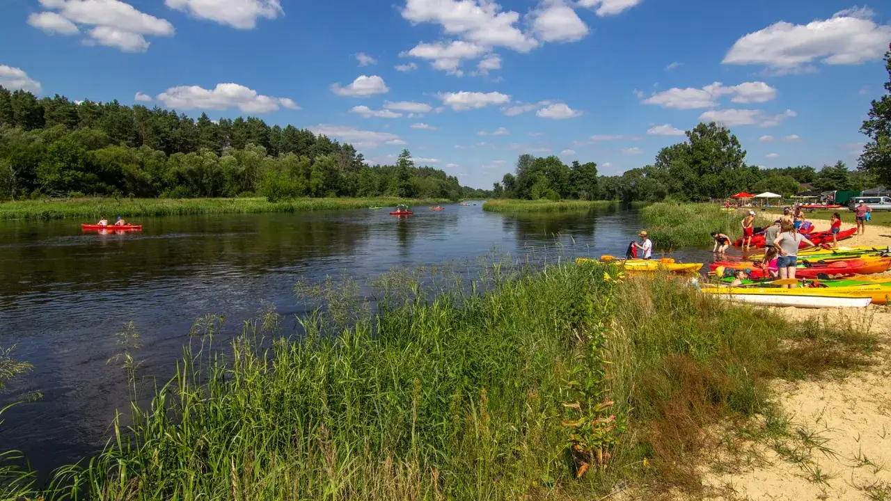 Spływ kajakowy w Załęczańskim Parku Krajobrazowym. Ludzie przygotowują kajaki na piaszczystej plaży, inni już płyną rzeką wśród zieleni.
