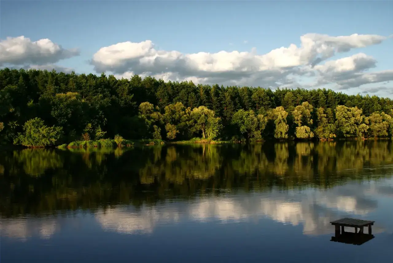 Spokojna tafla wody odbija zielony las i chmury. Mała drewniana kładka zaprasza do podziwiania tego podlaskiego krajobrazu, niczym szwajcaria podlaska.