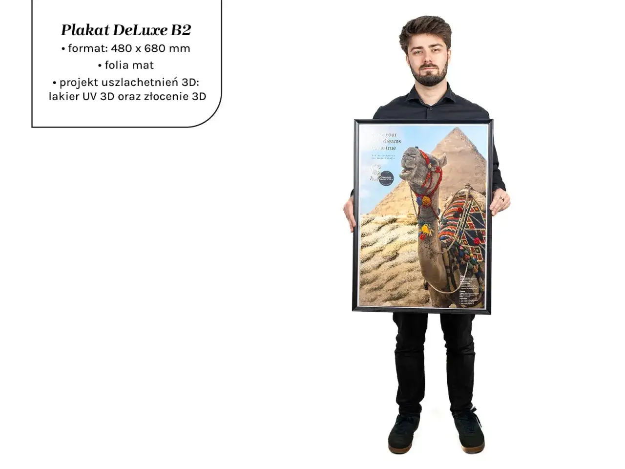 Mężczyzna prezentuje plakat B2 z wielbłądem i piramidami. Idealny do drukowania plakatów A4, z uszlachetnieniem 3D.