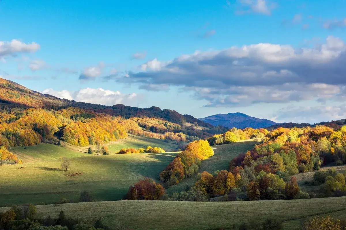 Jesienne wzgórza Podkarpacia, idealne miejsce, gdzie jechać na weekend. Słońce przebija się przez chmury, malując krajobraz złotem.