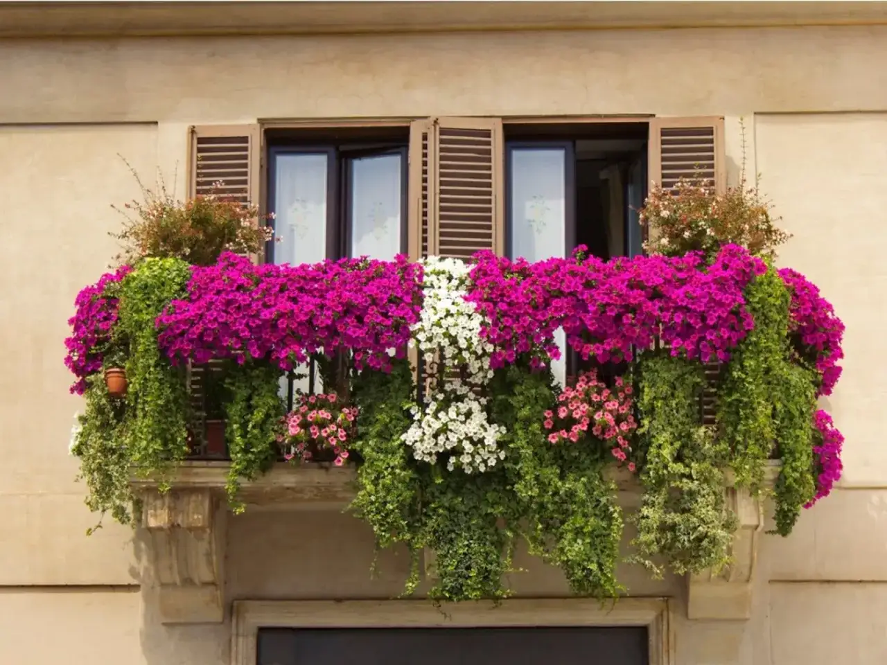 Balkon pełen kwitnących, różowych kwiatów i zielonych pnączy tworzy barwną kaskadę.