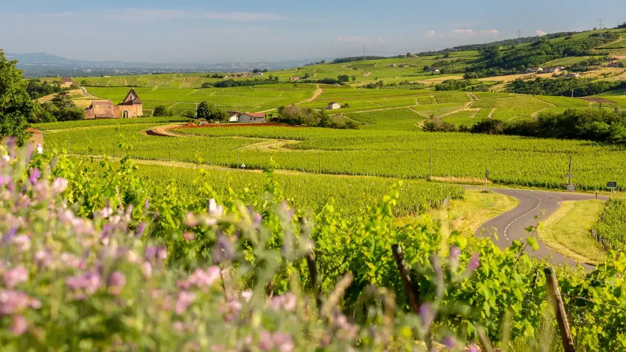 Campi verdi a perdita d'occhio, un'antica costruzione in pietra e una strada tortuosa: un paesaggio da cartolina della Borgogna, Francia.