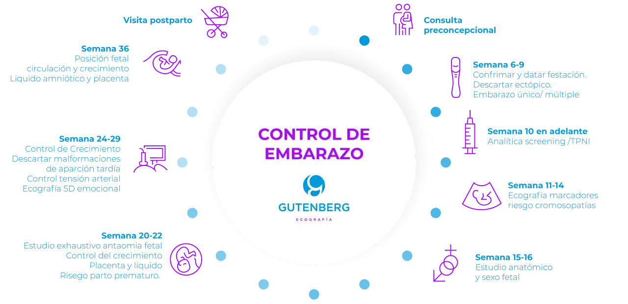 Diagrama del control de embarazo, detallando qué exámenes se realizan según cuantas semanas tiene un embarazo, desde la consulta preconcepcional hasta la visita postparto.