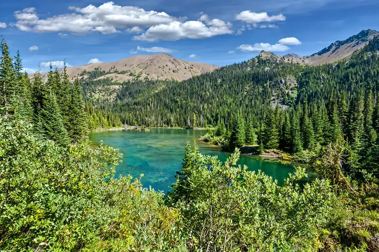Lac &eacute;meraude bord&eacute; de pins dans le parc national Olympic, avec des montagnes en arri&egrave;re-plan sous un ciel bleu et nuageux.