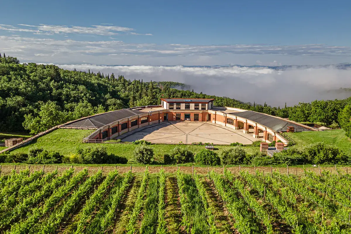 Vigneti rigogliosi abbracciano la moderna architettura di Castelnuovo Tancredi, immersa in un paesaggio collinare avvolto dalla nebbia.
