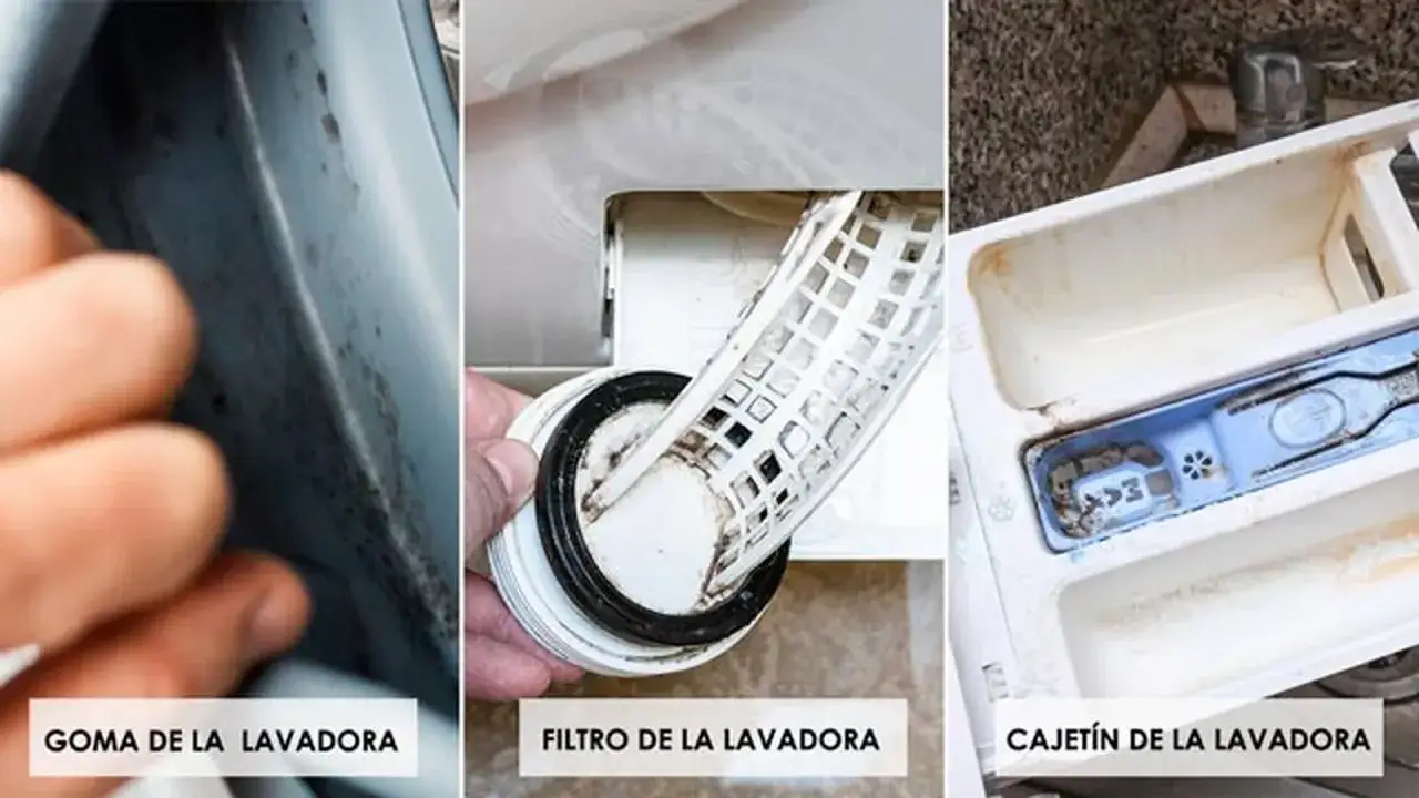 La goma, el filtro y el cajetín de la lavadora están sucios. ¡Por eso me sale la ropa sucia de la lavadora!