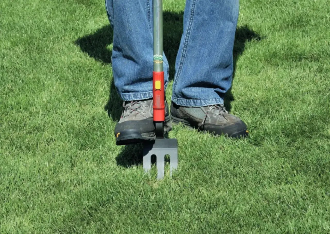 Person mit Wanderschuhen und Jeans aerifiziert den Rasen mit einem aerifizierer.