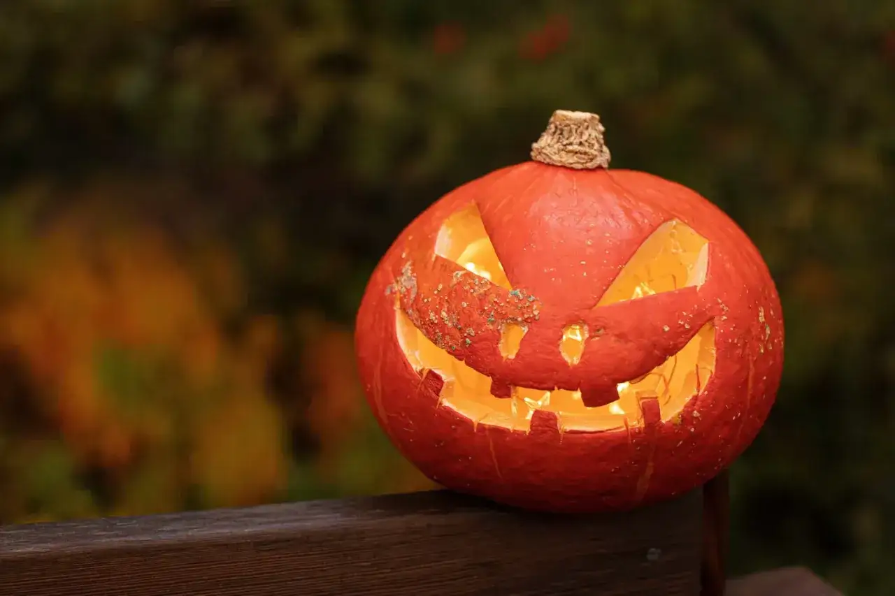 En utskuren pumpa med ett l&auml;skigt ansikte lyser upp i m&ouml;rkret. En rolig halloween fakta att dela!