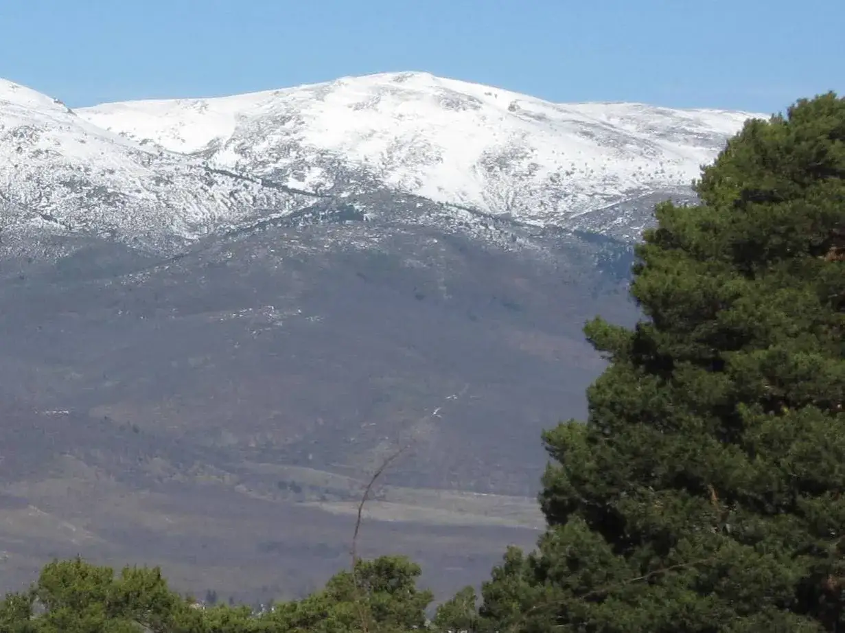 Majestuoso pico nevero cubierto de nieve, con árboles verdes en primer plano y un cielo azul claro.