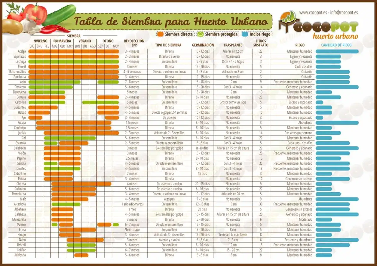 Tabla de siembra para huerto urbano: guía completa para tu calendario siembra huerto.