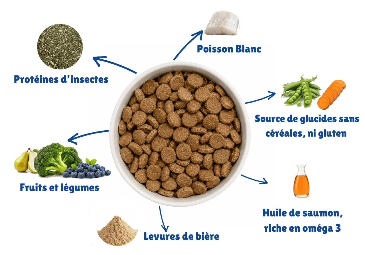 Ingrédients d'une nourriture pour chien : poisson blanc, protéines d'insectes, fruits, légumes, glucides sans céréales, levures de bière, huile de saumon. Avis : wolf of wilderness.