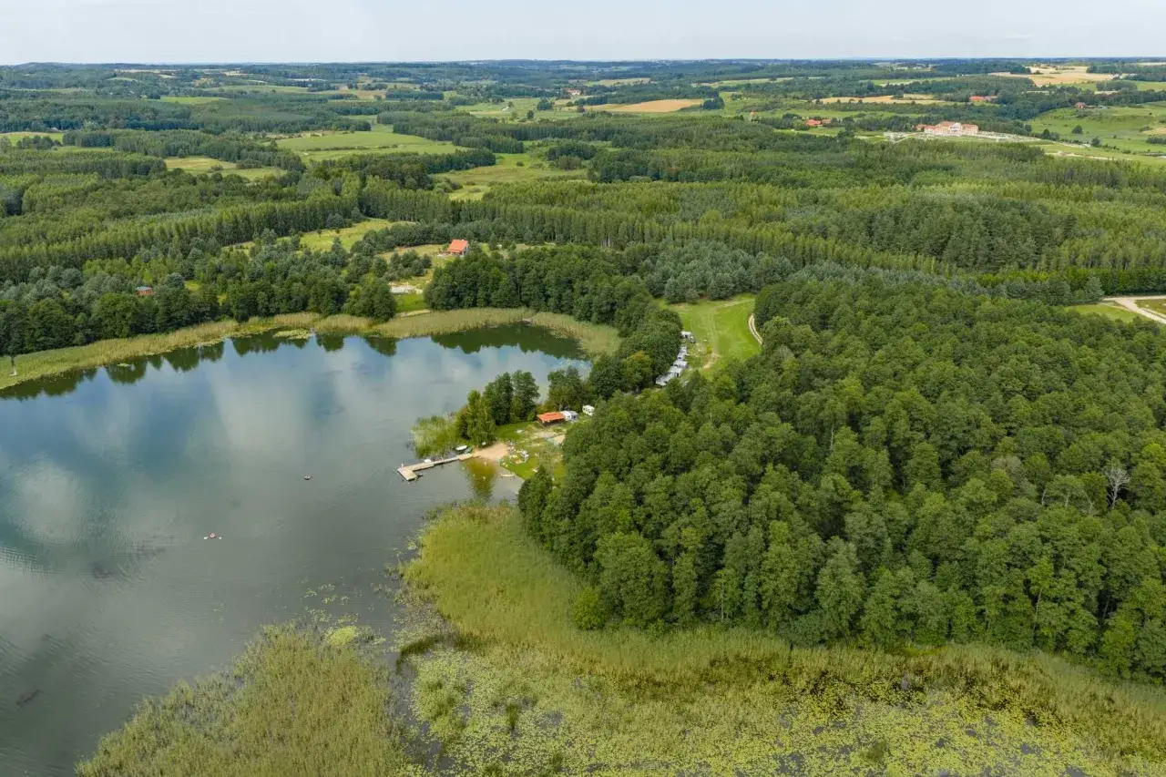 Malownicze jezioro otoczone lasem, idealne miejsce na wypoczynek. Zastanawiasz się, ile kosztuje hektar lasu w takiej okolicy?