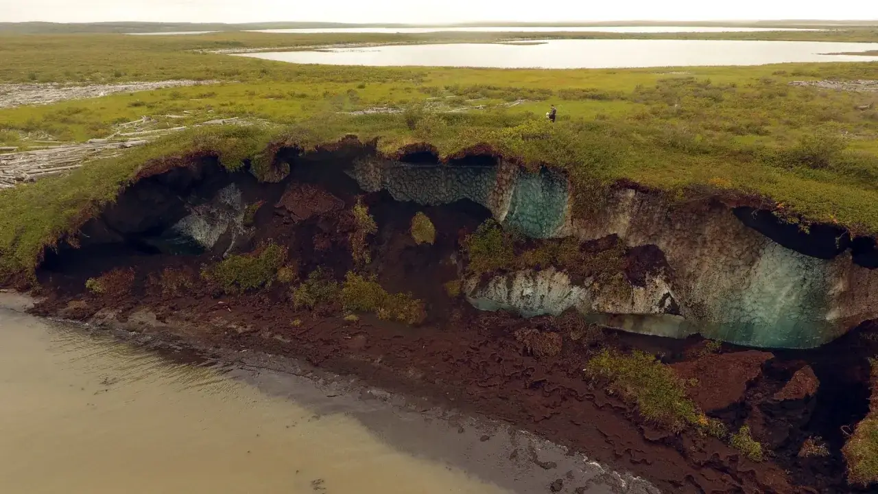 Tundra co to? Lodowe jaskinie odsłonięte przez erozję na wybrzeżu, gdzie wieczna zmarzlina topnieje.