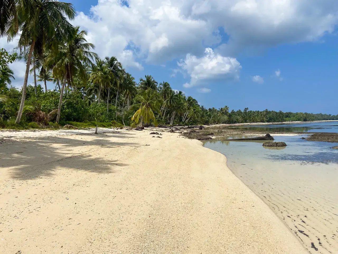 Rajska plaża z palmami i spokojną wodą. Idealne miejsce, by zastanowić się, kiedy najlepiej lecieć do Indonezji.