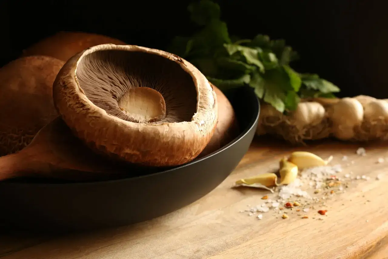 różne odmiany pieczarek do grillowania, pieczarki portobello