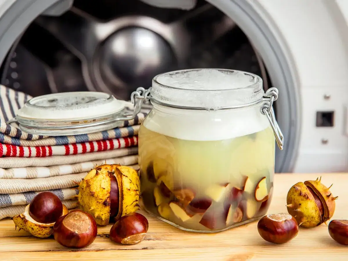 Selbstgemachtes Waschmittel aus Kastanien in einem Glas, neben frischen Kastanien und W&auml;sche vor einer Waschmaschine.