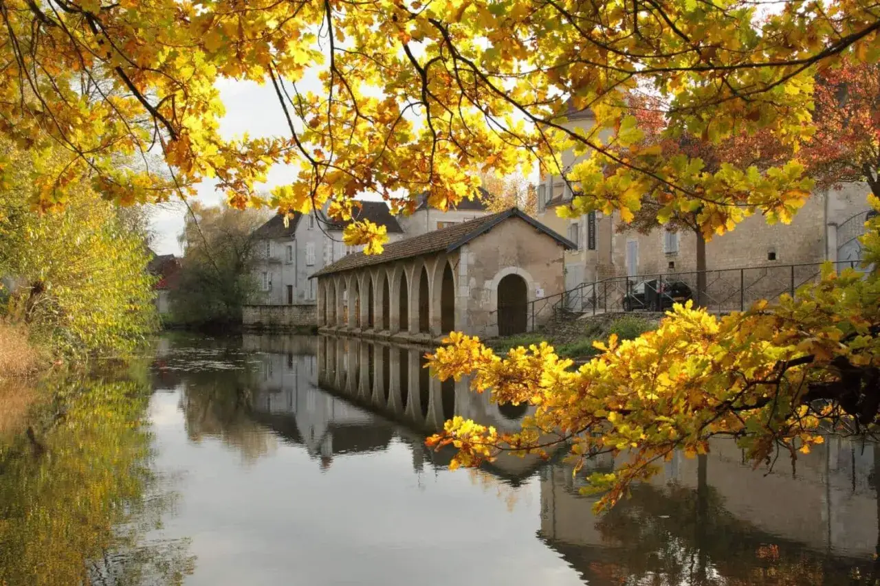 Bord de rivière à Chablis ville, reflets dorés des feuilles d'automne sur l'eau calme, un lavoir ancien bordé d'arches.