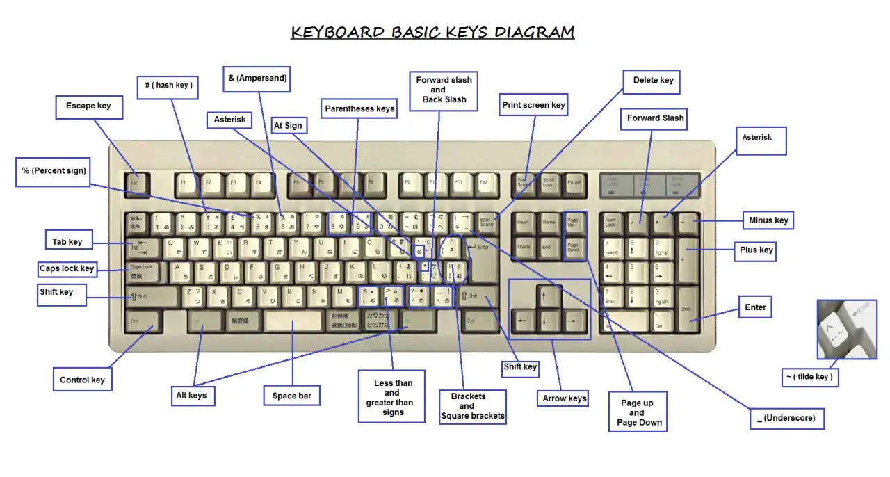 Klawiatura komputerowa z opisem klawiszy: Escape, Tab, Caps Lock, Shift, Ctrl, Alt, Space bar, Enter, strzałki, numeryczne, funkcyjne.