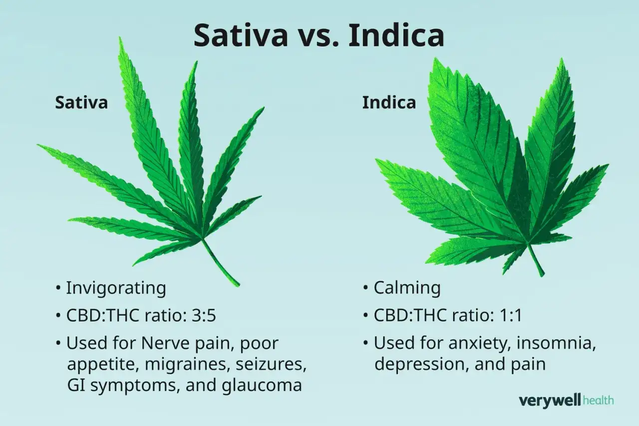 Confronto tra Sativa e Indica: la Sativa &egrave; tonificante, l'Indica &egrave; calmante. Diverse proporzioni CBD:THC e usi terapeutici.