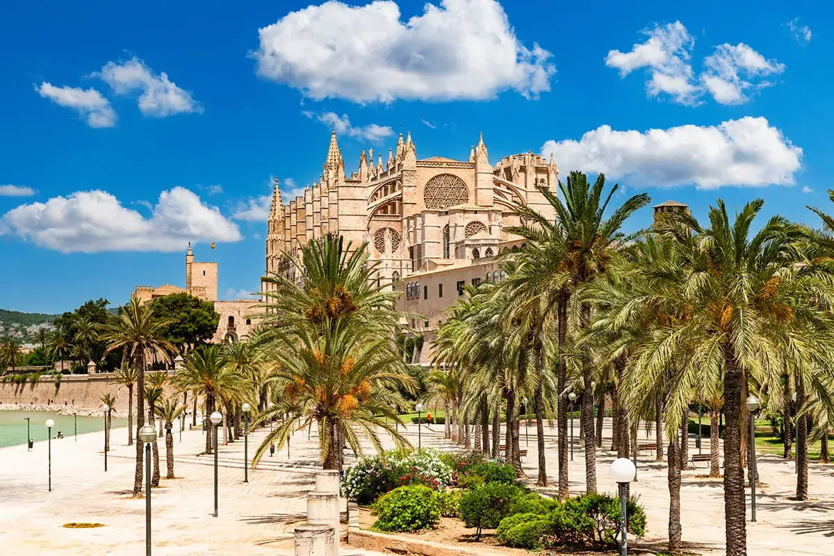 Majestatyczna katedra La Seu i palmy tworzą niezapomniany widok, jedno z gł&oacute;wnych palma de mallorca atrakcje.