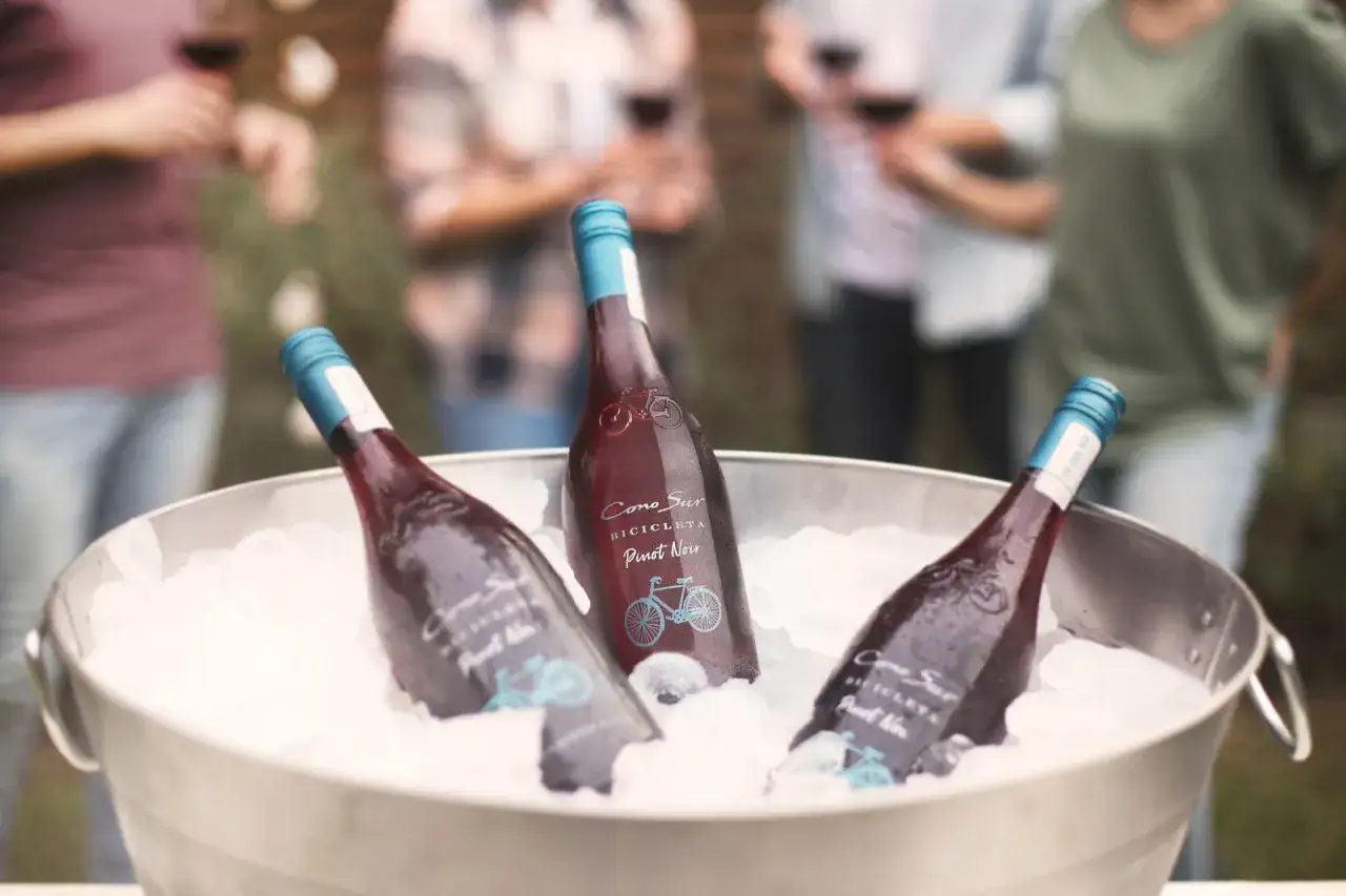 Butelki czerwonego wina Pinot Noir w wiadrze z lodem. Idealna temperatura 18 stopni dla tego wina.