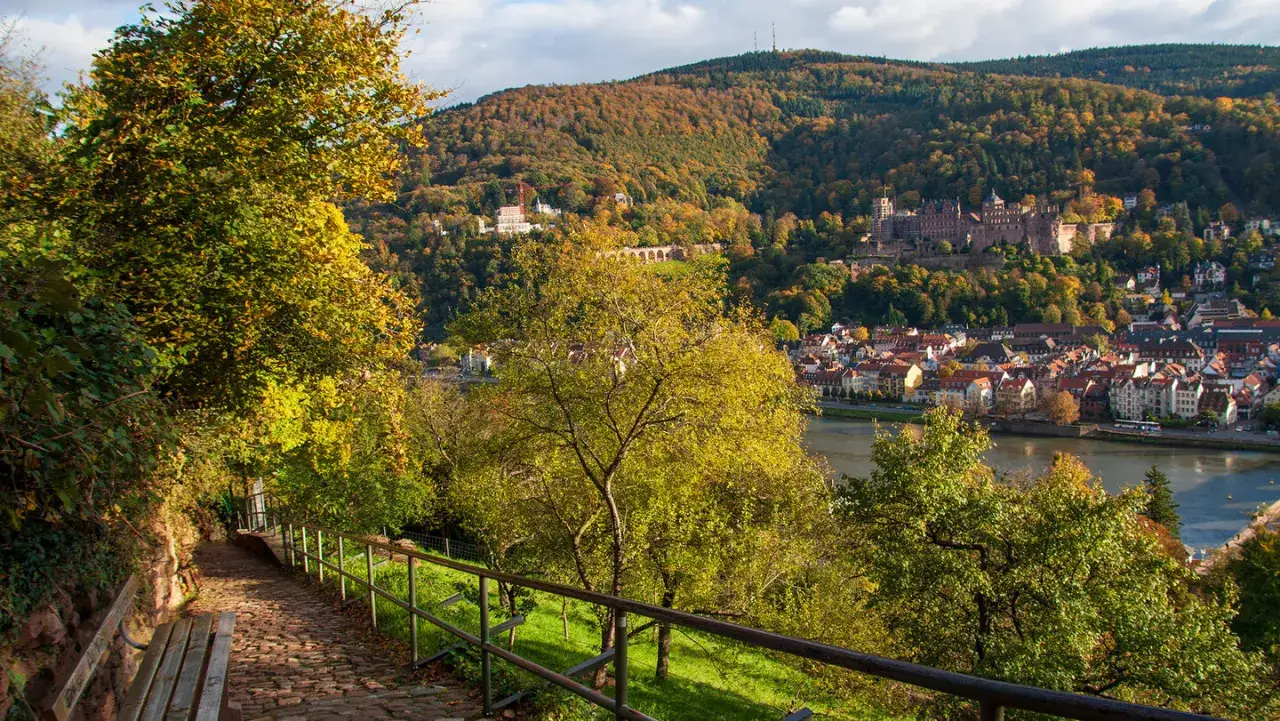 Herbstlicher Weg mit Blick auf Heidelberg und das Schloss. Hier kann man in Heidelberg wandern und die Aussicht genießen.