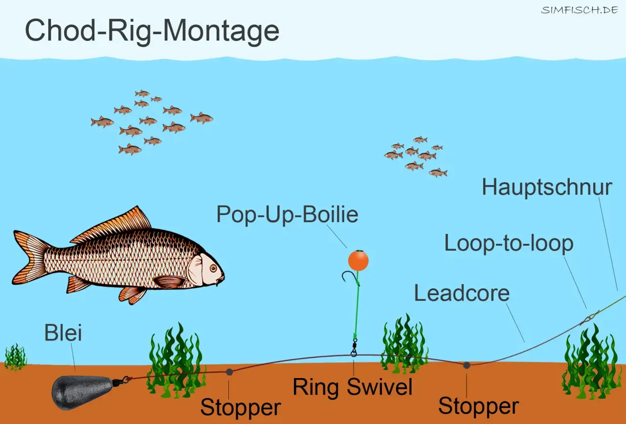 Eine Chod-Rig-Montage mit Pop-Up-Boilie, Blei und Hauptschnur. Dies ist eine der besten Karpfenmontagen f&uuml;r erfolgreiches Angeln.