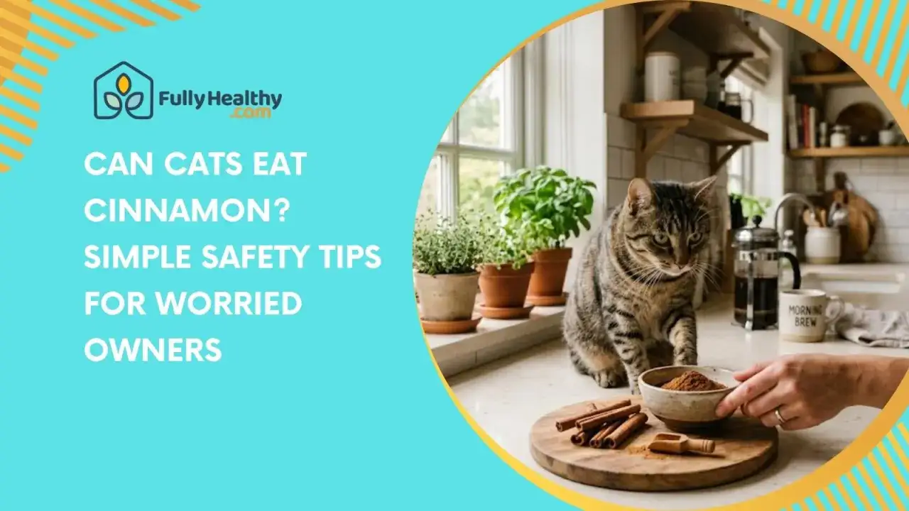 A tabby cat looks at a bowl of cinnamon on a kitchen counter, with cinnamon sticks nearby. The text asks,