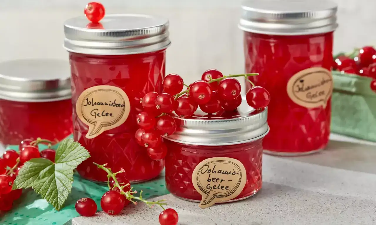 Gläser mit Johannisbeer-Gelee, frisch eingekocht und mit Beeren dekoriert.