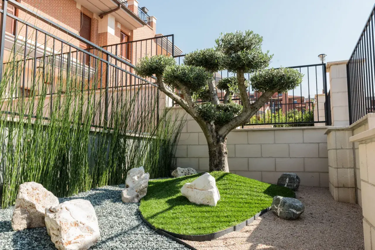 Un maestoso ulivo domina questo giardino moderno, circondato da rocce bianche e verdi fili d'erba.