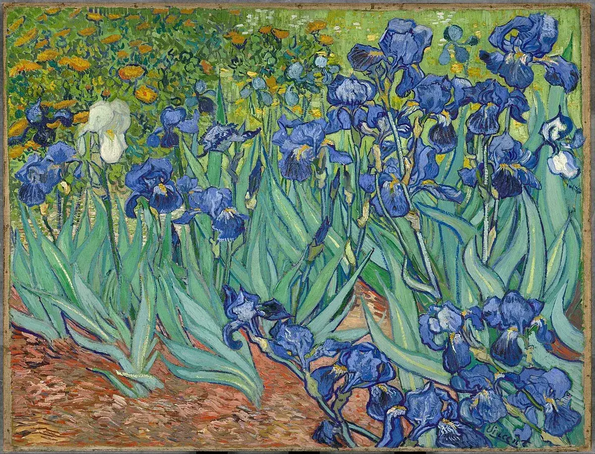 Un jardin d'iris bleus et une iris blanche, typique du courant artistique de Van Gogh.