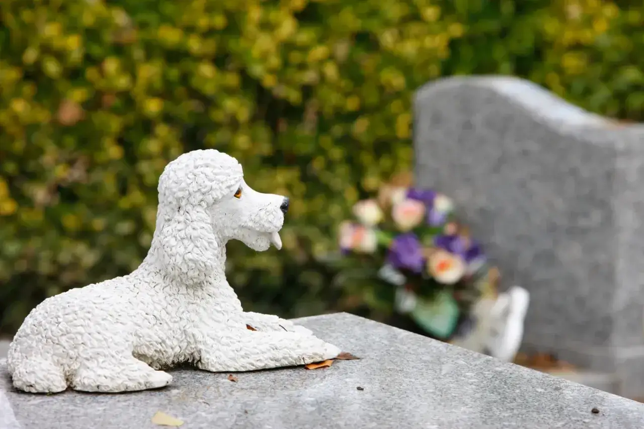Figurka pudla na kamiennej płycie, symbol pamięci na cmentarzach dla zwierząt w Polsce.
