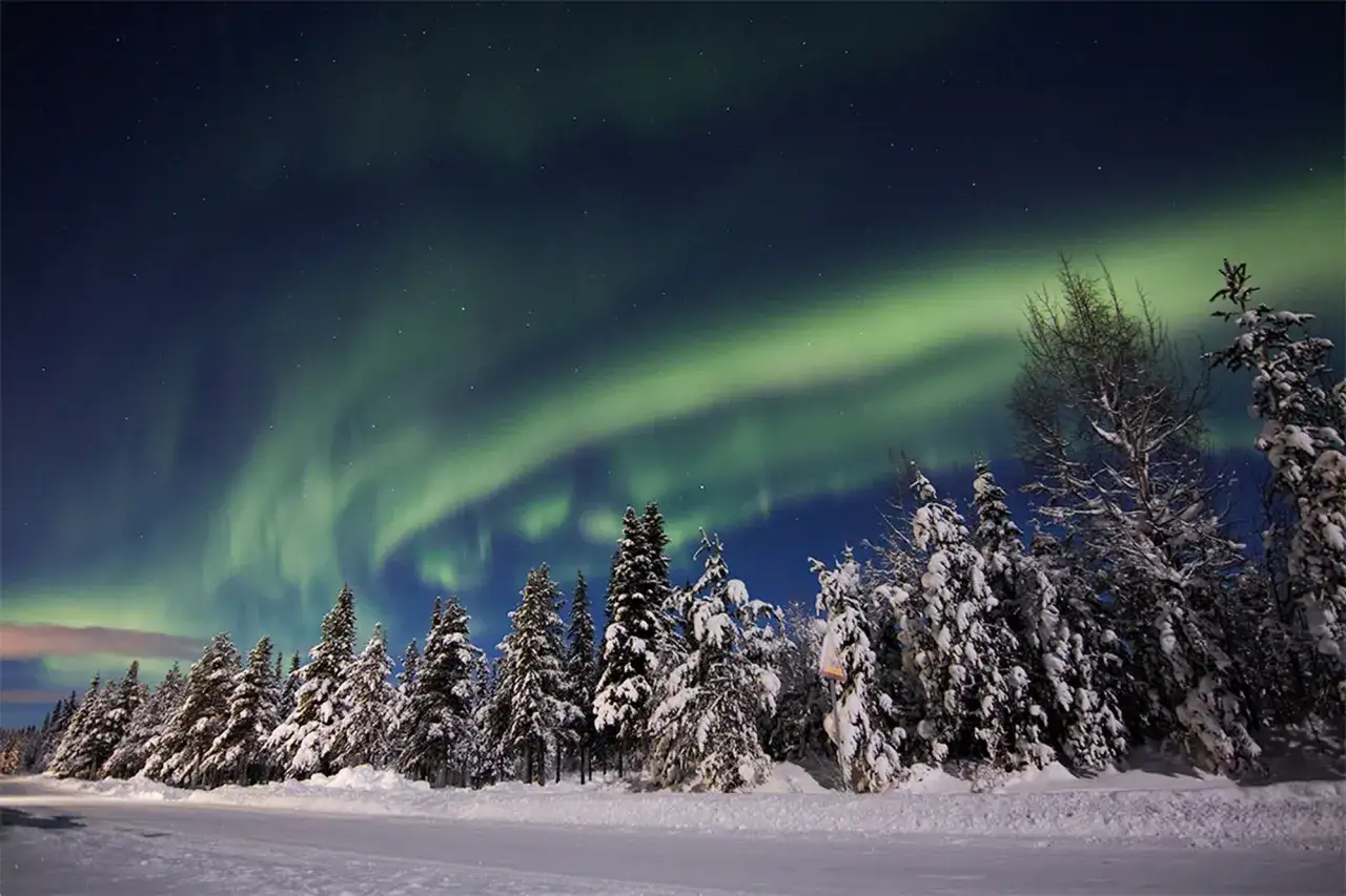 Ein magischer Winterurlaub in Skandinavien: Nordlichter tanzen über schneebedeckten Bäumen und einer stillen Landschaft.