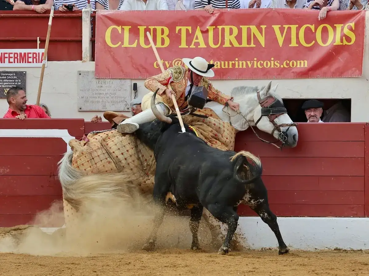 Un picador a caballo se enfrenta a un toro negro en la arena. El caballo, cubierto con un caparaz&oacute;n protector, levanta polvo. El picador usa una pica.