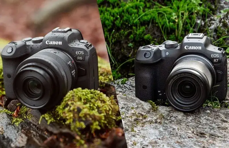 lustrzanka canon matryca aps-c vs pełna klatka porównanie