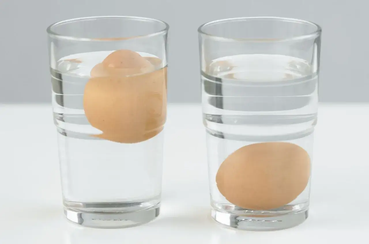 Deux verres d'eau. Dans l'un, un &oelig;uf frais flotte &agrave; la surface. Dans l'autre, un &oelig;uf repose au fond.
