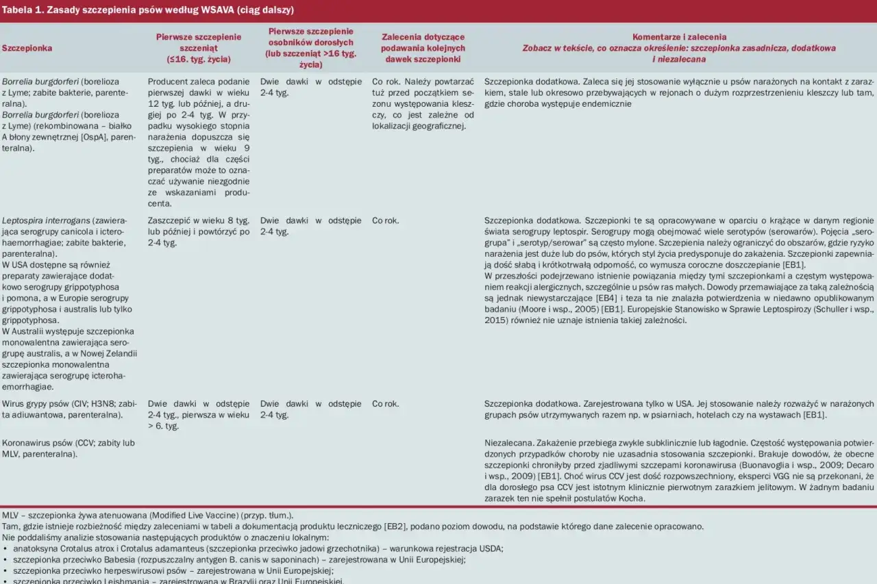 szczepienia psa obowiązkowe i zalecane
