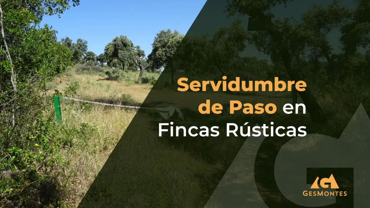 Un camino rural con un poste verde y una cadena, que ilustra qu&eacute; es una servidumbre de paso en fincas r&uacute;sticas.