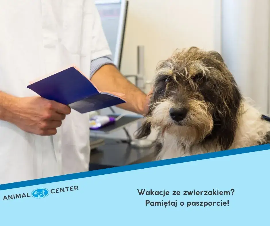 lekarz weterynarii z psem paszport