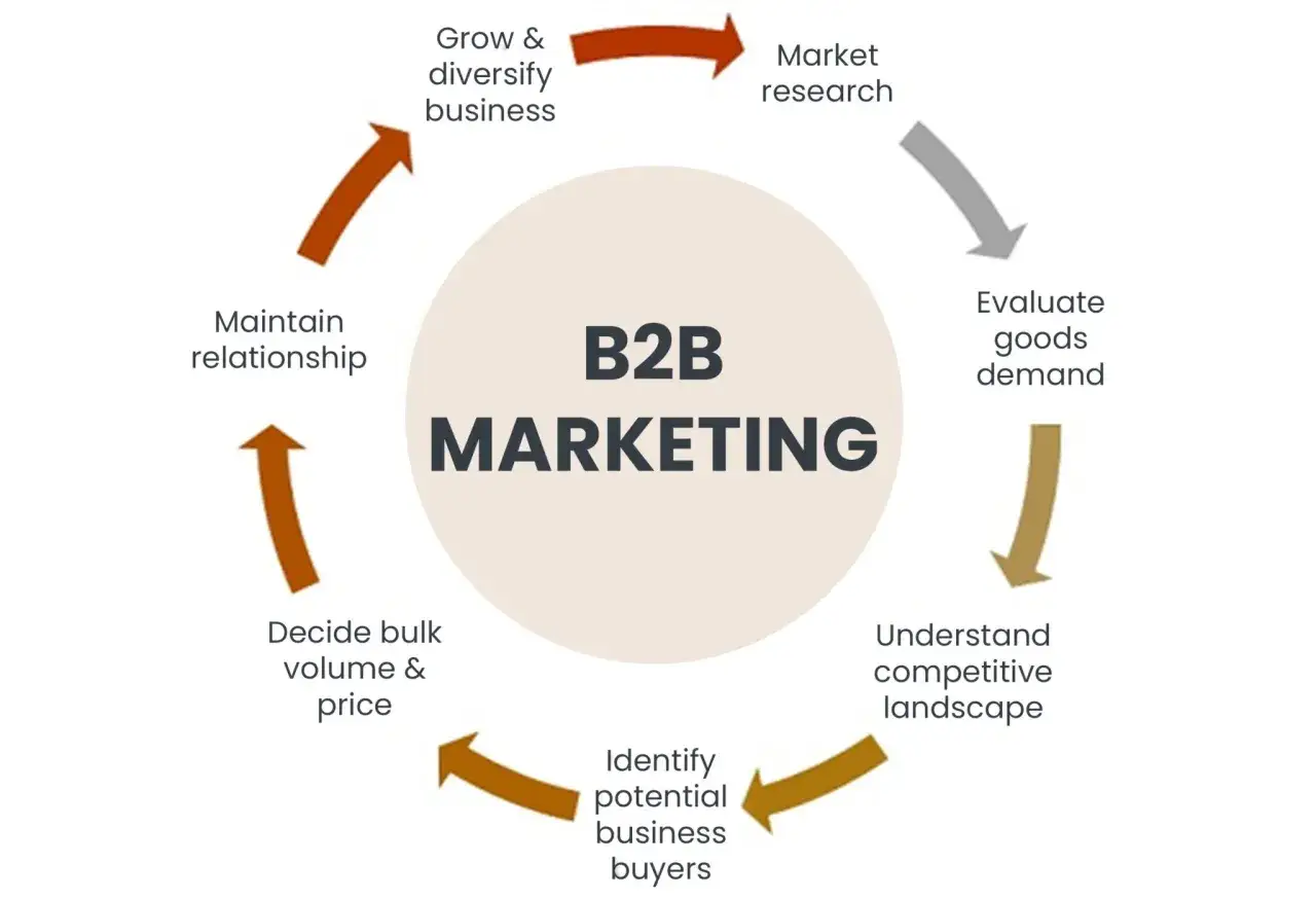 Cykl B2B marketing: od badań rynku, przez analizę popytu i konkurencji, identyfikację klientów, ustalanie cen, po utrzymanie relacji i rozwój biznesu.