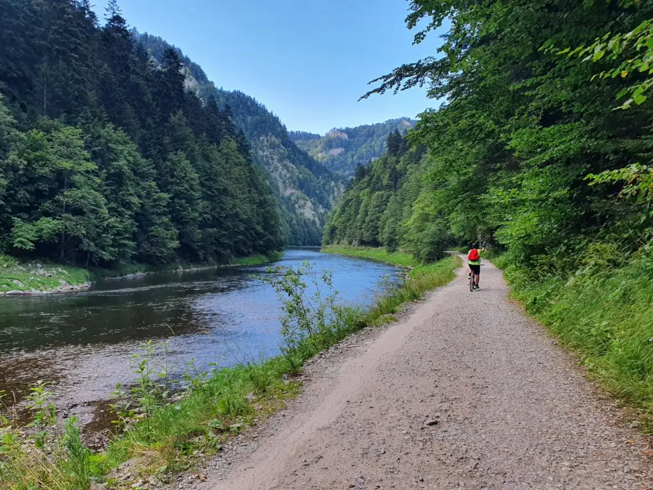 Rowerzystka podziwia malowniczą trasę rowerową wzdłuż Dunajca, otoczoną zielonymi lasami i skalistymi zboczami.