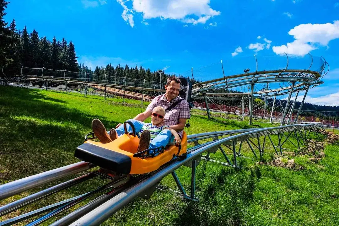 Czarna Żmija Alpine Coaster Czarna Góra