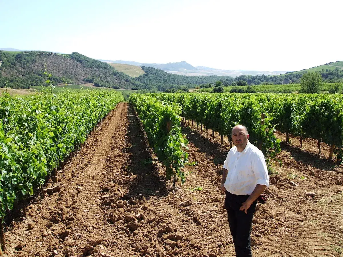 Uomo in una vigna a Montalcino, con filari di viti verdi e colline sullo sfondo.