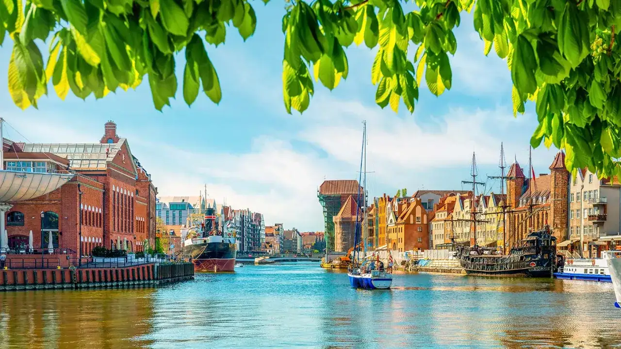 Vacker hamn i Gdansk Sopot med gamla byggnader, segelfartyg och moderna båtar. Gröna löv hänger ner från träden.