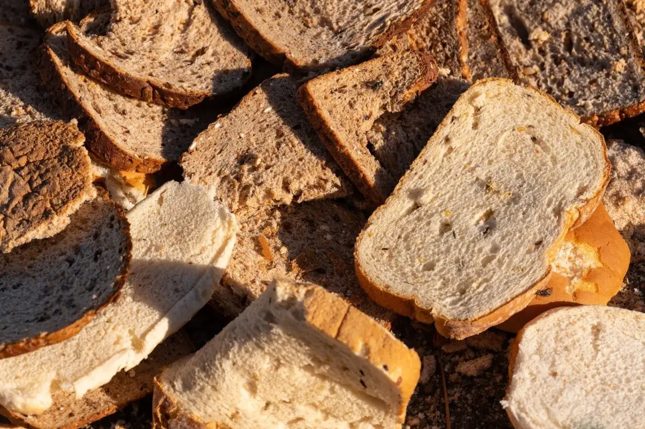 Stare kromki chleba, niektóre z ziarnami, leżą na ziemi. Mogą posłużyć jako naturalny nawóz z chleba dla roślin.