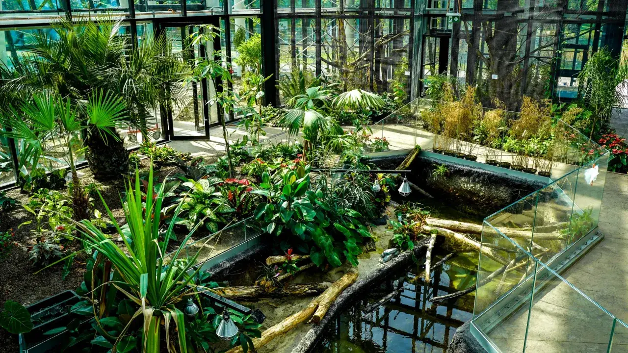 Egzotarium Sosnowiec wnętrze