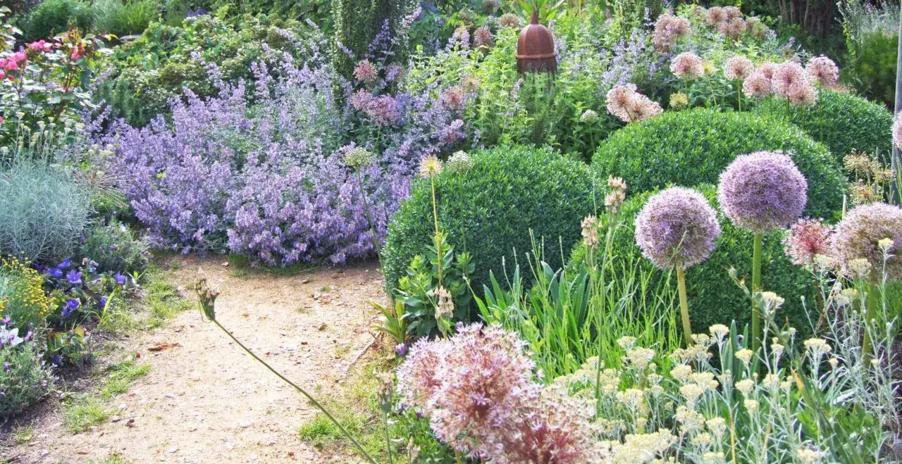 Un chemin serpente à travers un jardin de curé luxuriant, bordé de lavande, d'alliums et de roses.